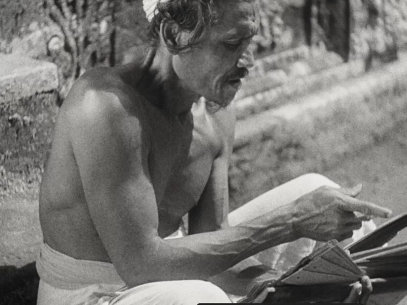 Image 4-11-25 at 7.48 PM (1)